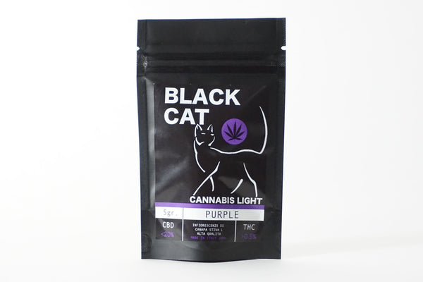 purple-black-cat-3