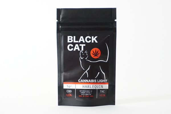 harlequin-black-cat-3
